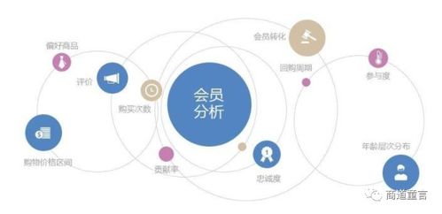 創新引擎 驅動企業數字化轉型與網絡技術服務的核心動力